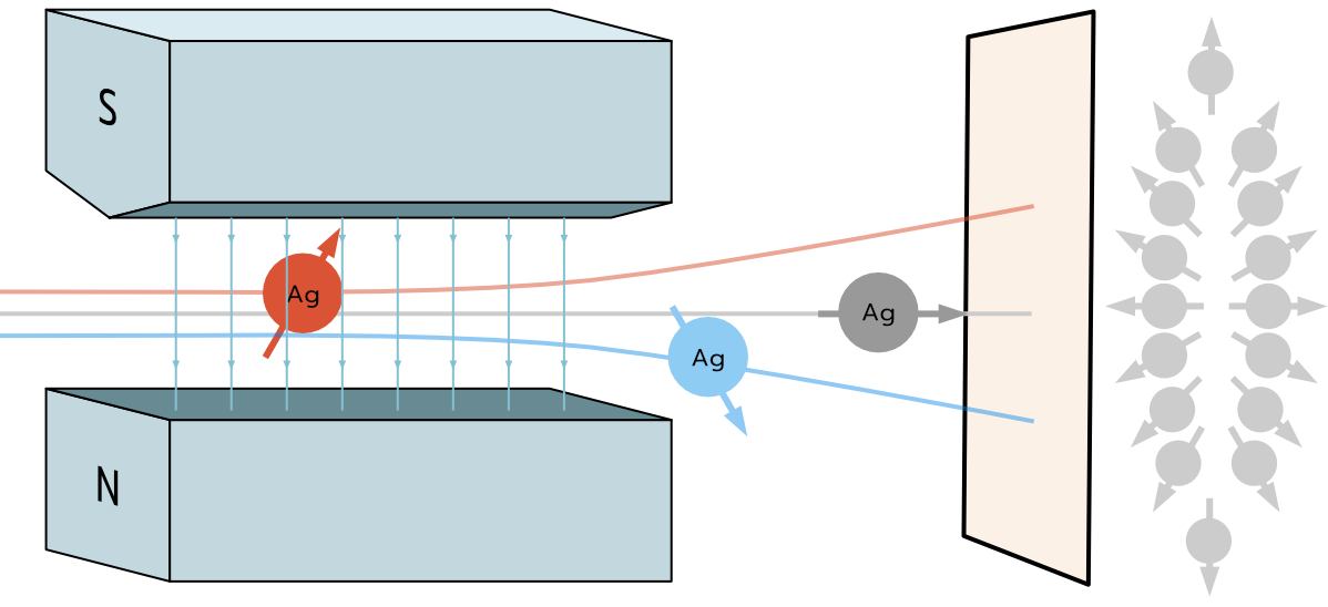 An illustration showing a schematic for Stern--Gerlach experiment